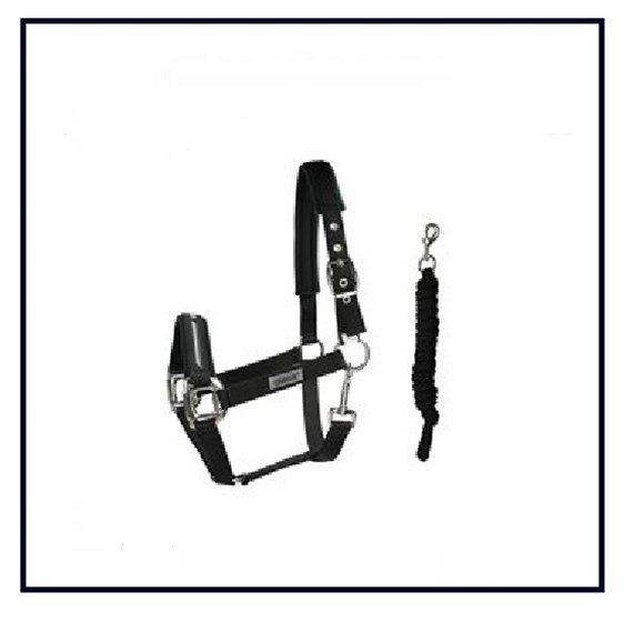 Nylon Halsters